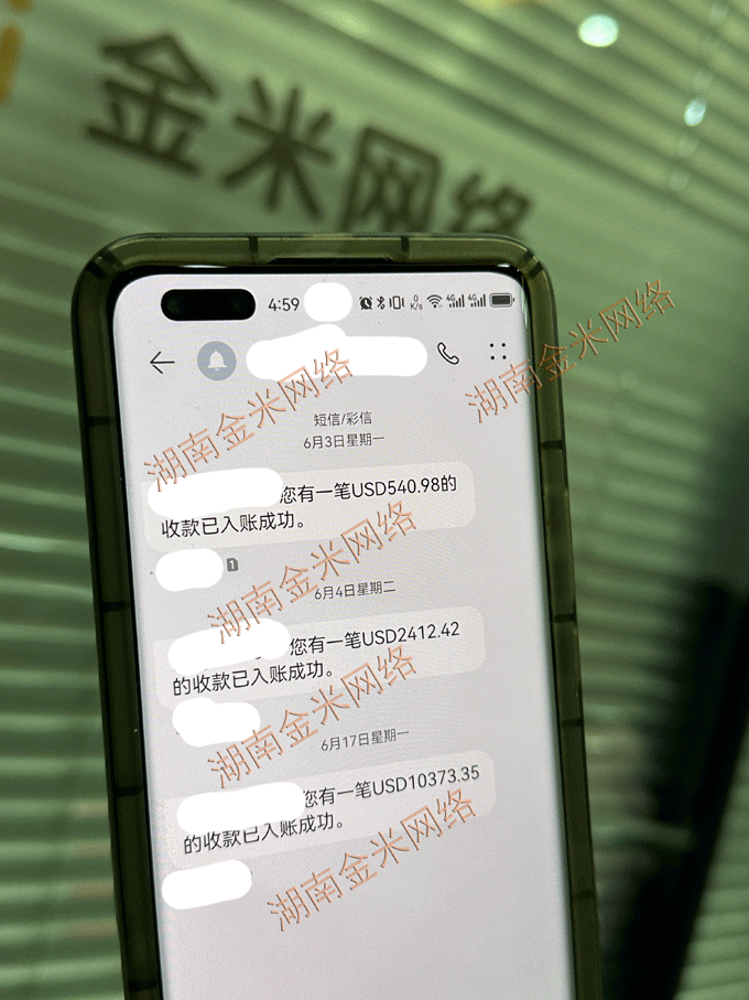 海外问卷调查，美元结算到位！结算的次数，比你考虑的次数是不是很多？